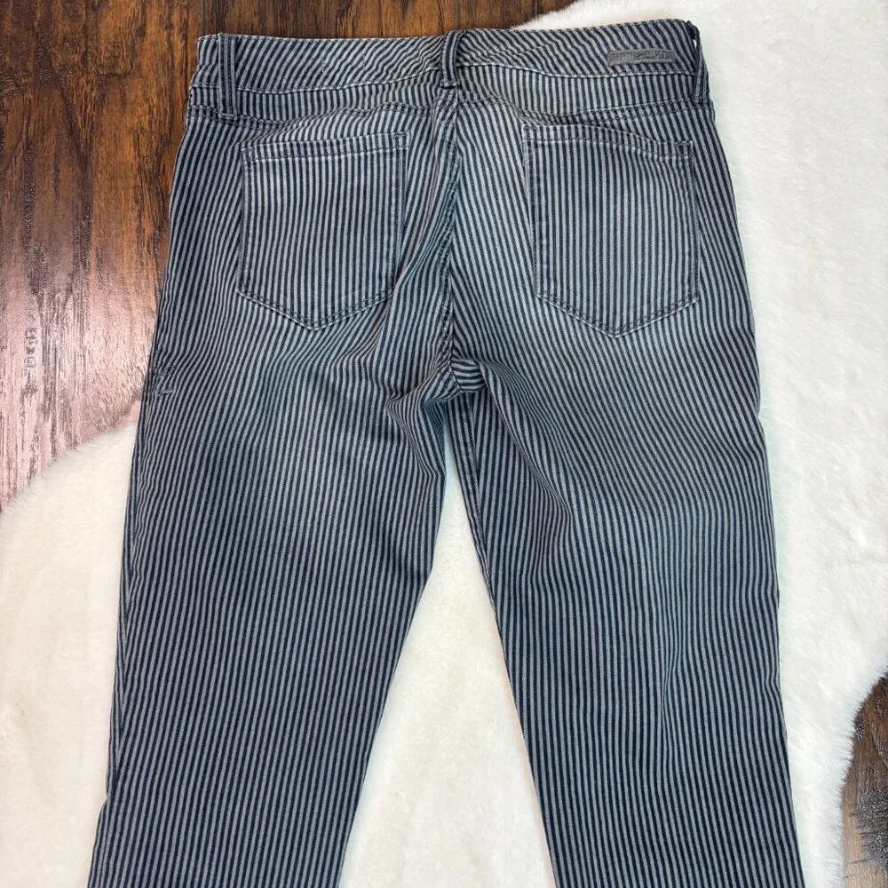 Level 99 Liza Skinny Jeans‎ 30 Striped Blue Gray Mid-Rise Stretch Women's